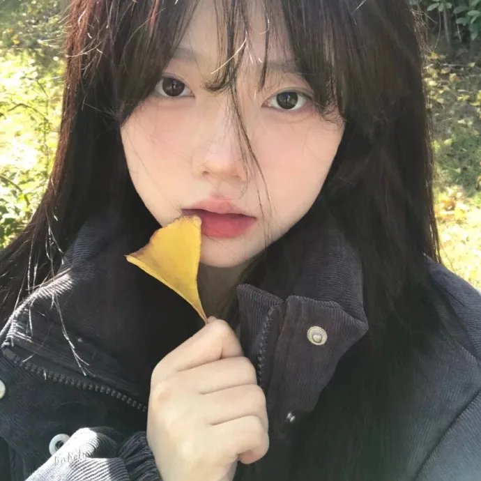 灵魂的四段旅程 在线观看封面